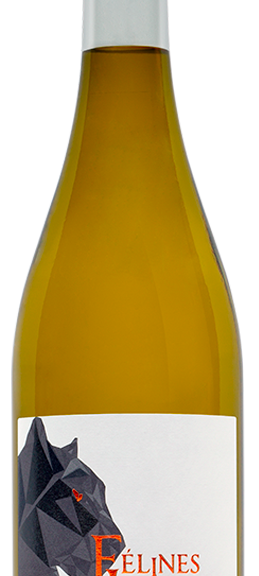 Felines-Jourdan Patte-de-velour_Blanc