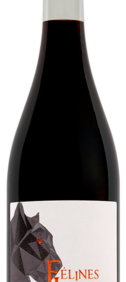 Félines Jurdan Patte-de-velours_Rouge